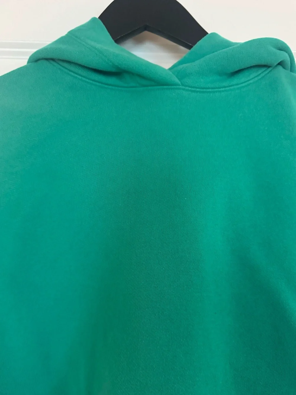 Alo Spruce Green Bae Hoodie/ Preloved/Very Good/ Small